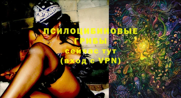 mix Осинники