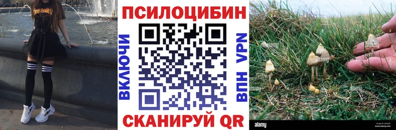 Галлюциногенные грибы MAGIC MUSHROOMS  blacksprut зеркало  Ревда 