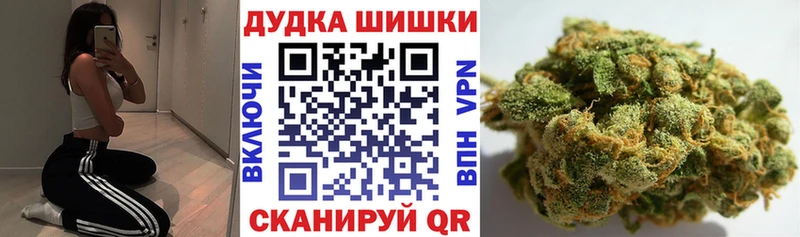 Конопля сатива  ссылка на мегу зеркало  Ревда  купить закладку 